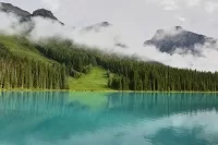 Planning Forester